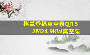 格兰登福真空泵QJ132M24 9KW真空泵